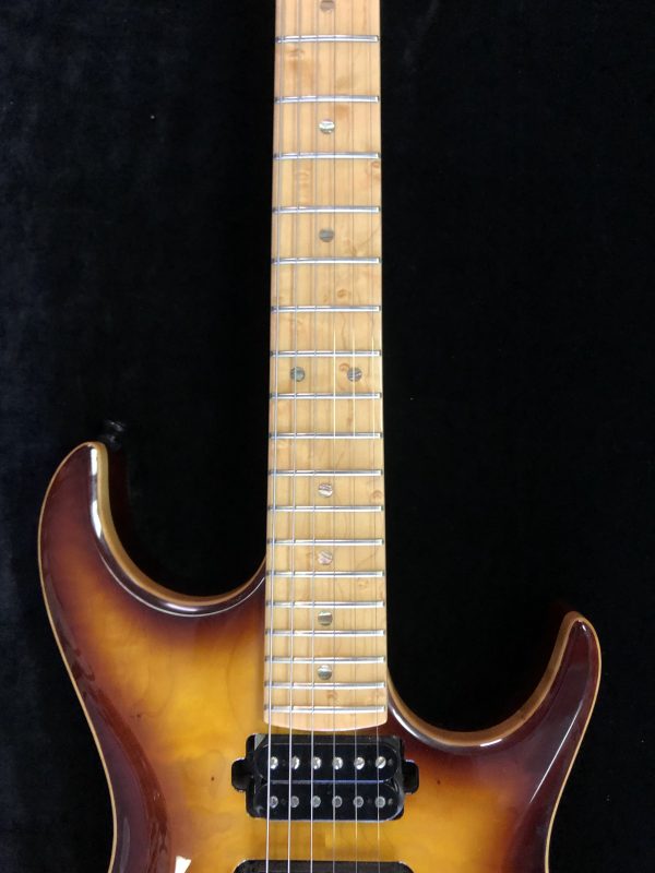 Zion Classic Electric Guitar Featuring Birdseye Maple Fret Board, Sperzel Locking Tuners Tweed Case - Image 4